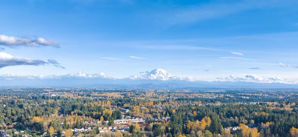 Junk Removal in South Hill, Wa.