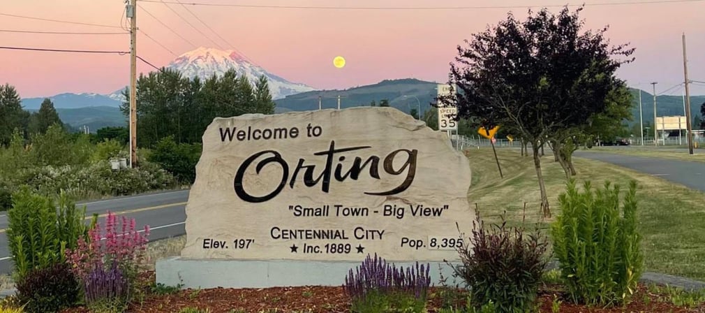 Junk Removal in Orting, Wa.