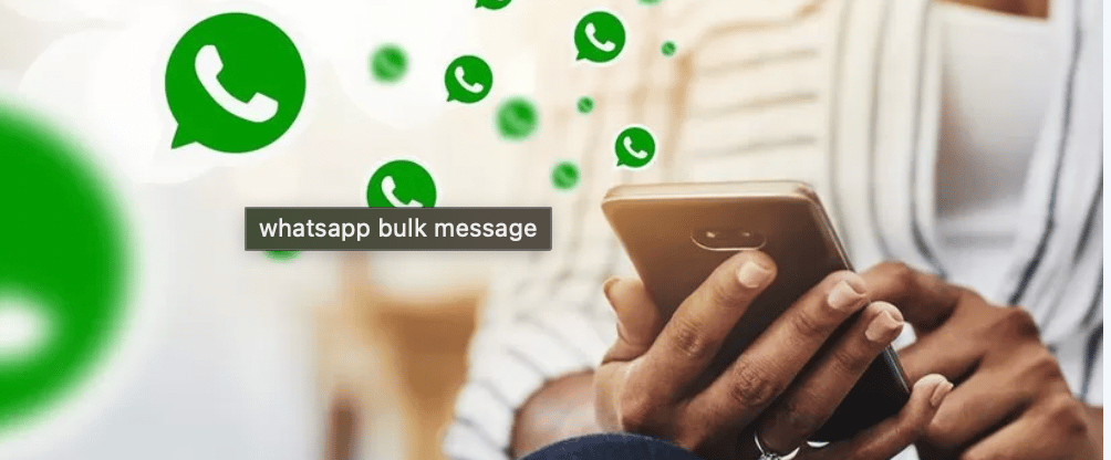 whatsapp bulk api