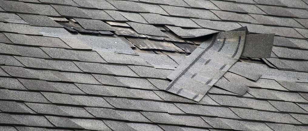 Roof inspector