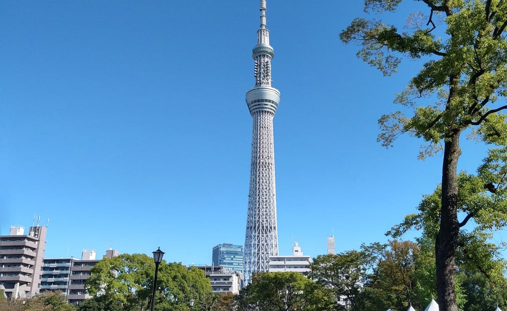 Tokyo Skytree widziane z pobliskiego parku