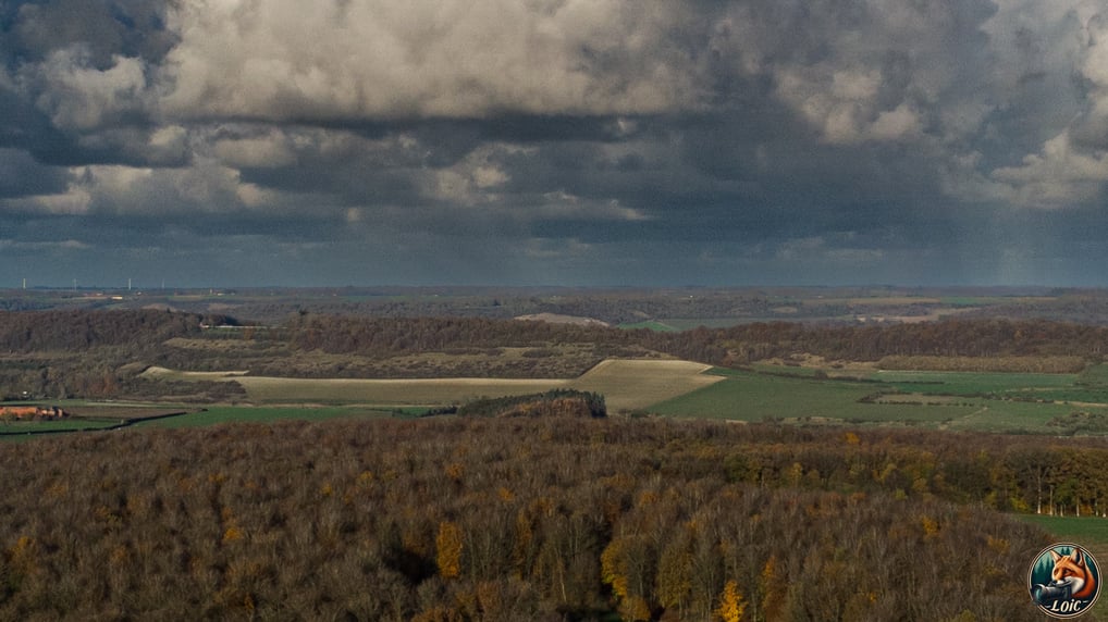"Vue aérienne", "forêt d’Eawy", "Pays de Bray", "DJI Mini 4K", "Normandie".