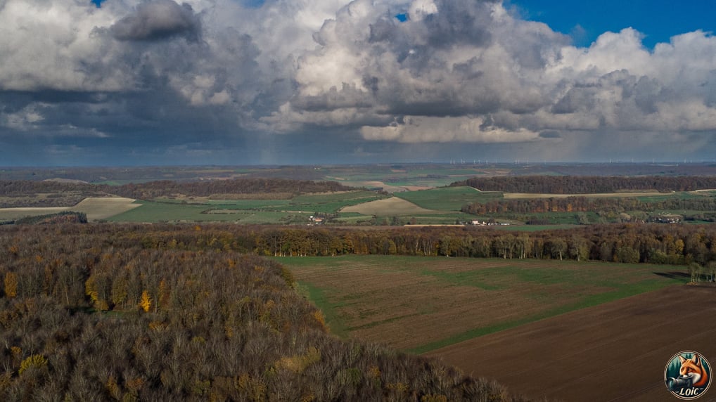 "Vue aérienne", "forêt d’Eawy", "Pays de Bray", "DJI Mini 4K", "Normandie".