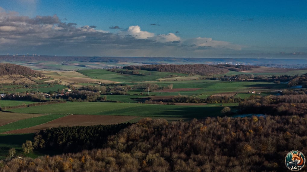 "Vue aérienne", "forêt d’Eawy", "Pays de Bray", "DJI Mini 4K", "Normandie".