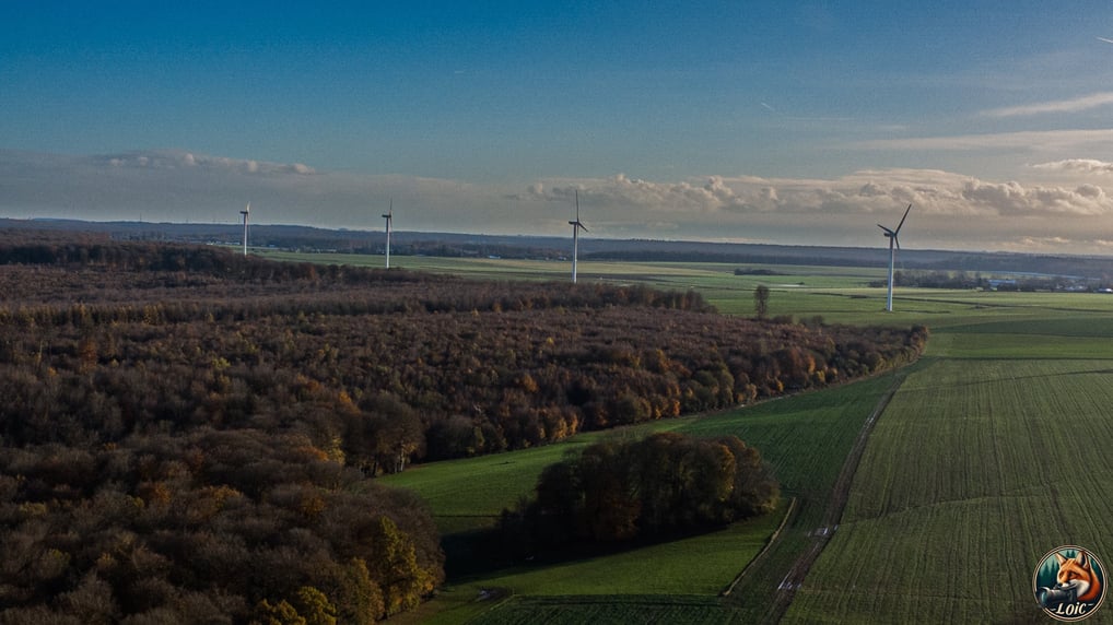 "Vue aérienne", "forêt d’Eawy", "Pays de Bray", "DJI Mini 4K", "Normandie".