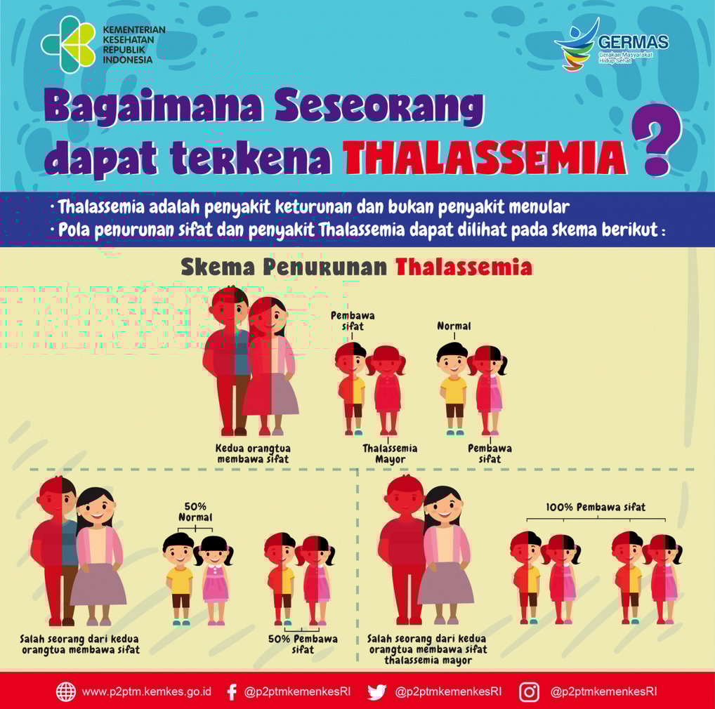 genetika thalassemia