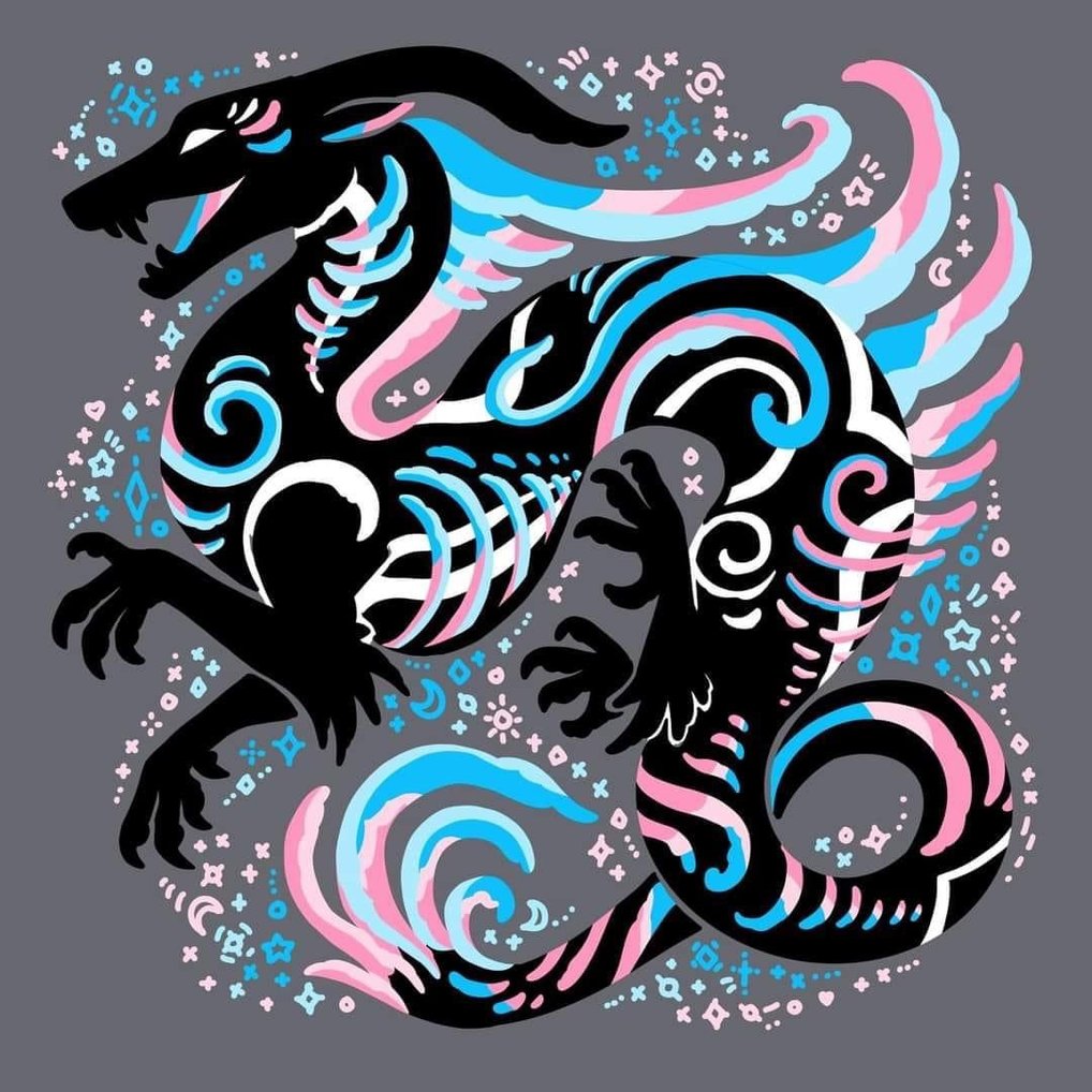 TransDragon