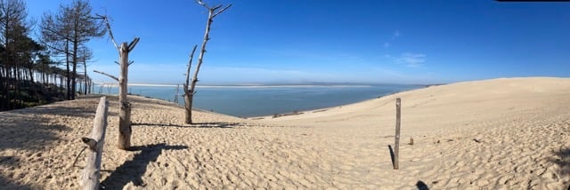 photo d'une dune de sable avec des pins et la mer en fond