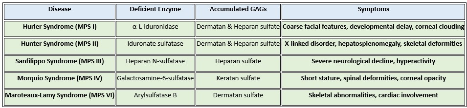 inborn errors of metabolism_MPS