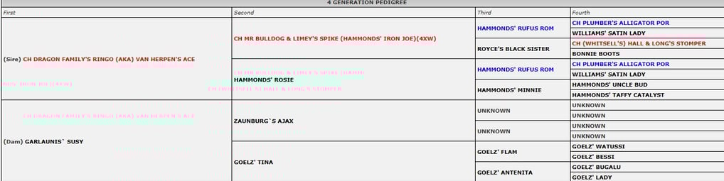 CUNE'S IRON KID PEDIGREE