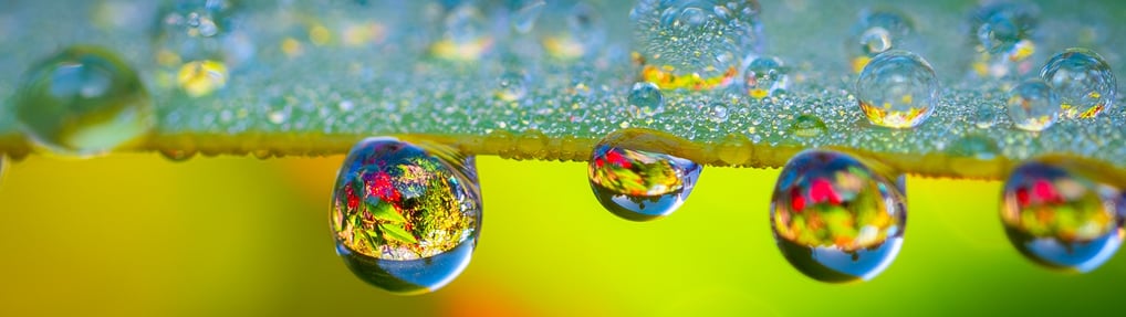 Macro - Reflection from the water droplet