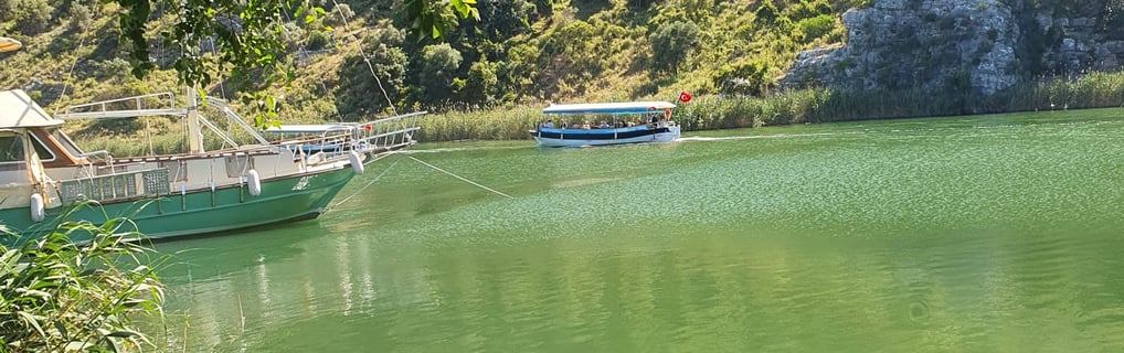 a boat on the water with a mountain in the background