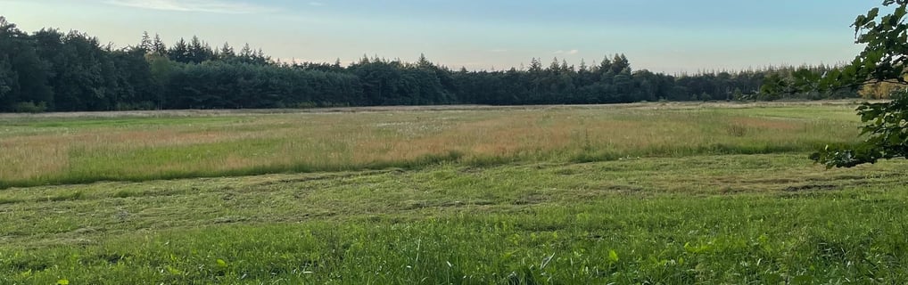 Fietsroute Lage Vuursche