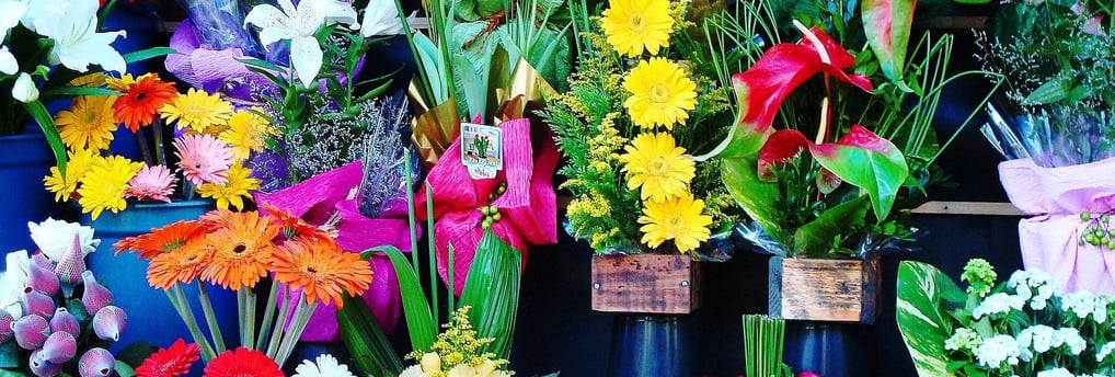 dried flower wholesaler