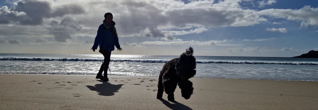 Balade sur la plage