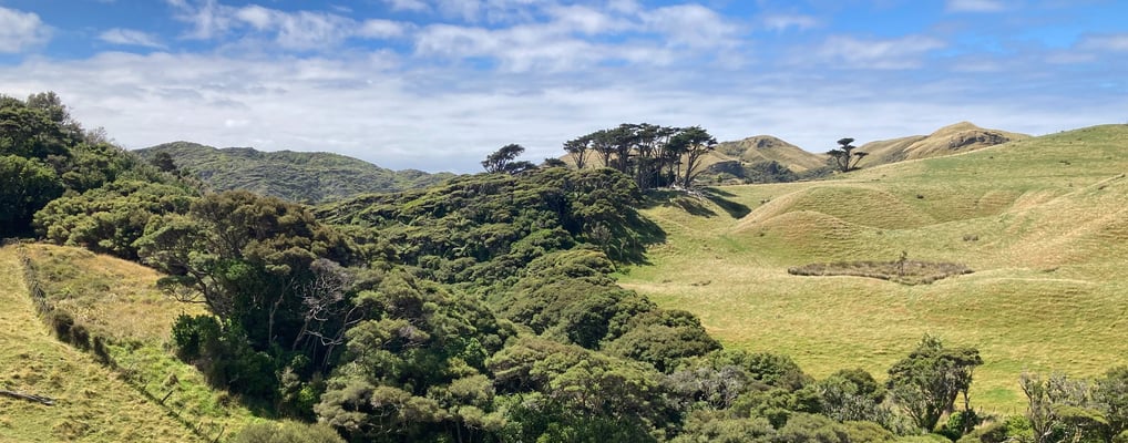 Pūponga