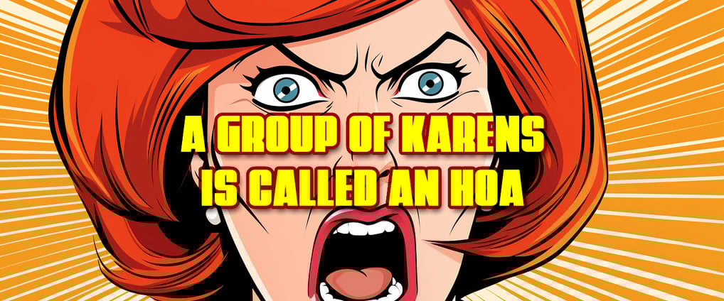 Midjourney AI created image of a Karen with the text "A Group of Karens is called an HOA" overlayed.