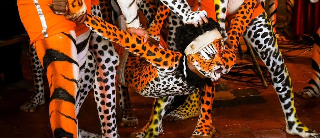 tiger dance in udupi