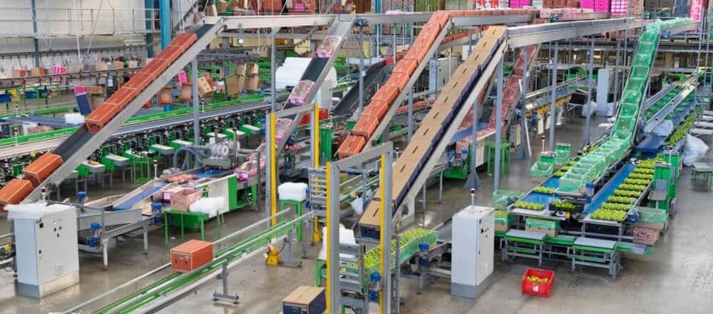 Warehouse Conveyor Automation