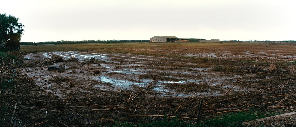 Albufera valencia tras la Dana. Imagen documental 29/10
