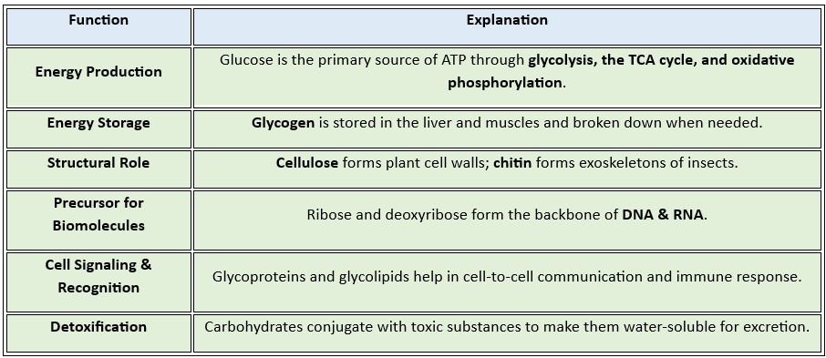 carbohydrate_functions