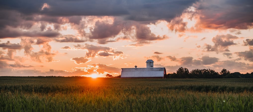 A sun sets over an Indiana cornfield with an old barn in the middle.