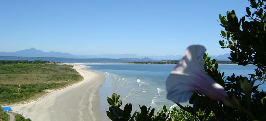 Imagem de <a href="https://pixabay.com/pt/users/tanika-54637/?utm_source=link-attribution&utm_medium