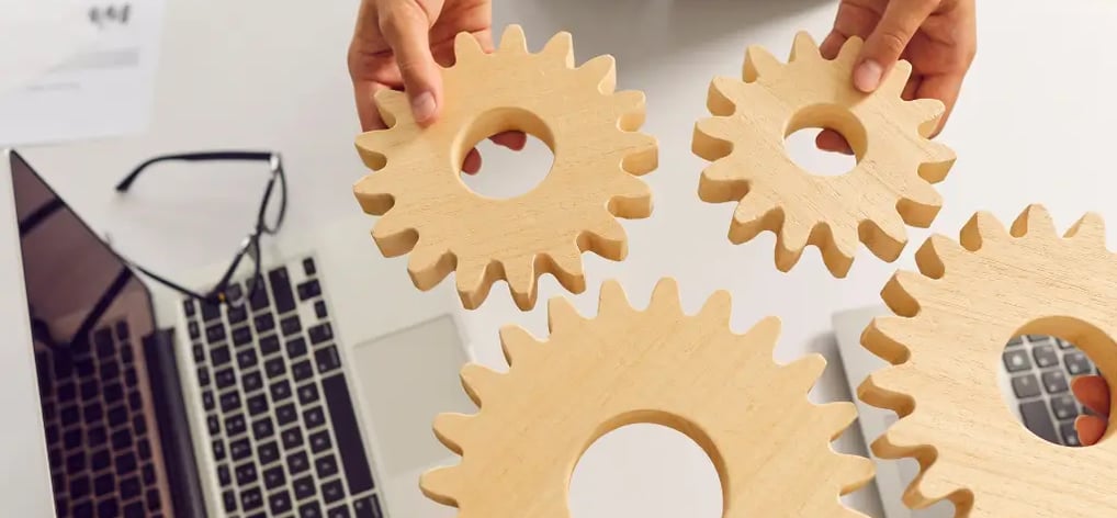 strategie digitali per aziende biologiche
