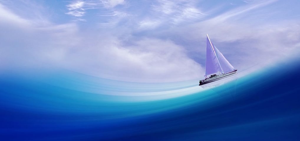 Ride The Wave