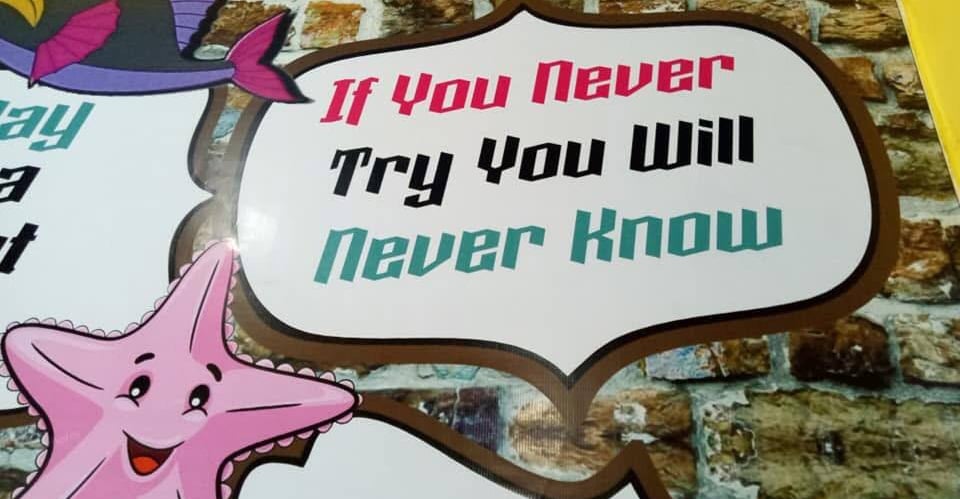 a sign that says if you never try you will never know 