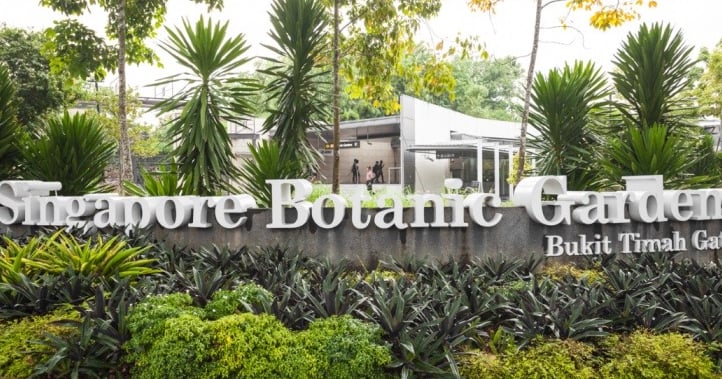 singapore botanic garden Best top 5 tourist attractions in Singapore