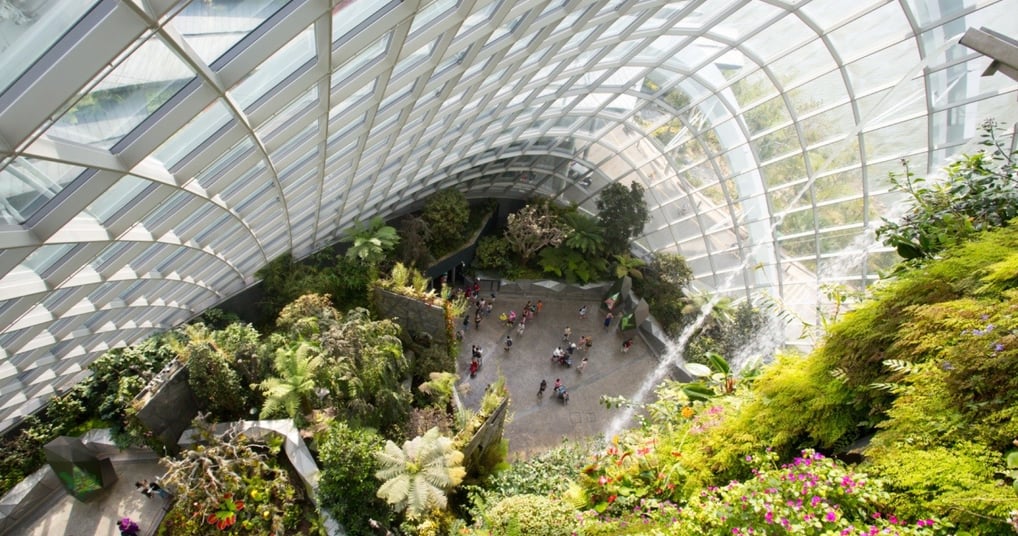 Cloud forest best top 5 tourist attractions in Singapore