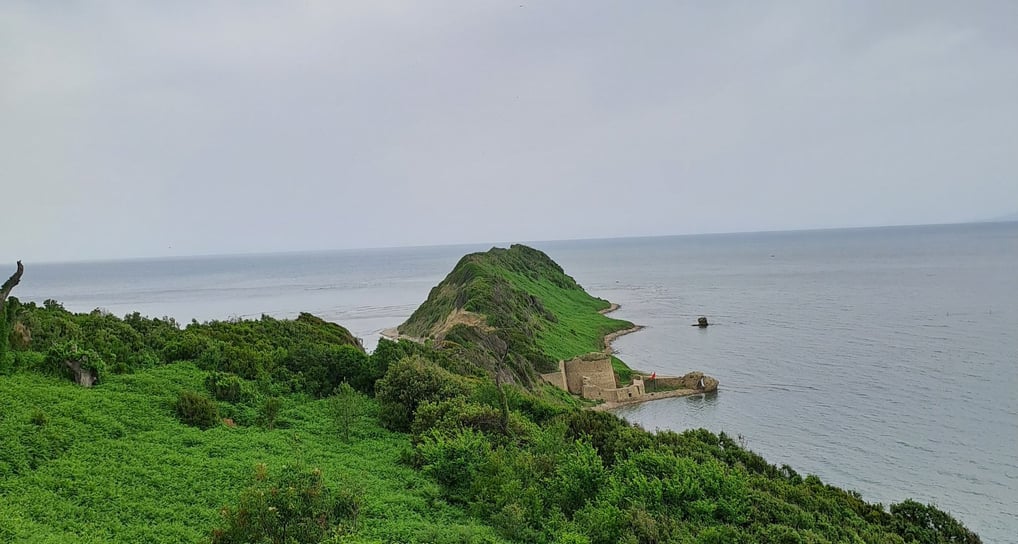 Cape Of Rodon