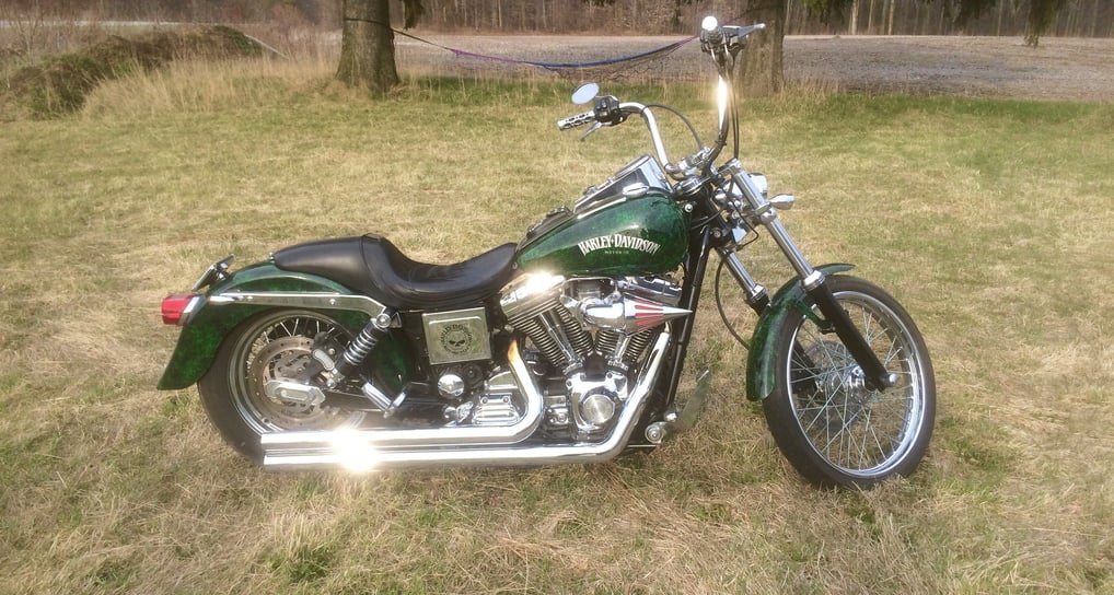 Harley Davidson Dyna With custom paint done by Owner ProPolish Motorcycle Detailing Norfolk County