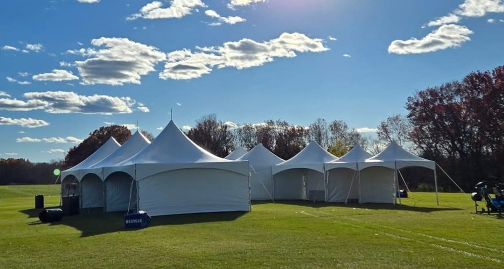 Carpas agrupadas el paso diamond events