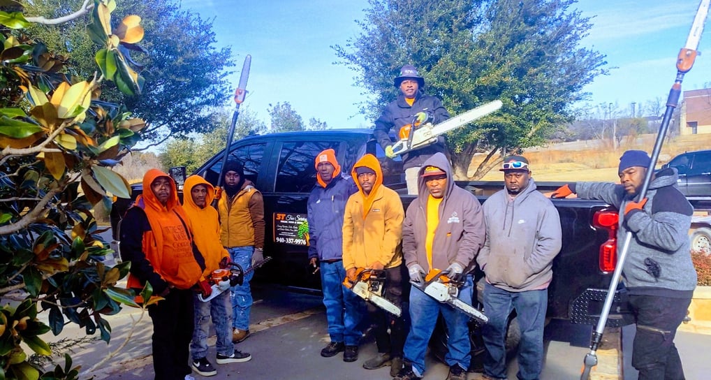 photo of the 3t tree service team 