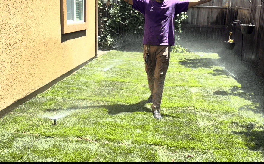 RHS Properties Landscaping. Sod and sprinkler installation in Sacramento