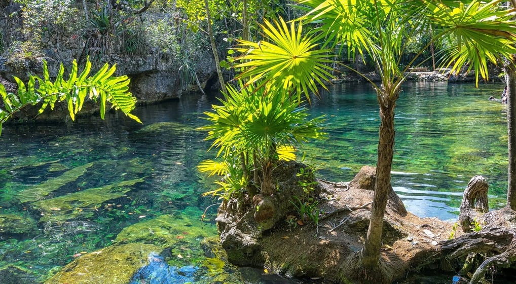 Mexico - A beautiful cenote between Tulu & Playa del Carmen