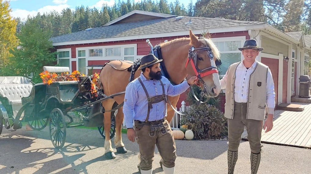 Leavenworth, WA - Horse & carriage ride at Octoberfest, Leavenworth Reindeer Farm