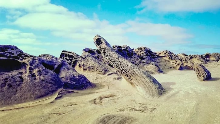 Oregon Coast - Beautiful beaches & rock/lava formations at Shore Acres, Coos Bay