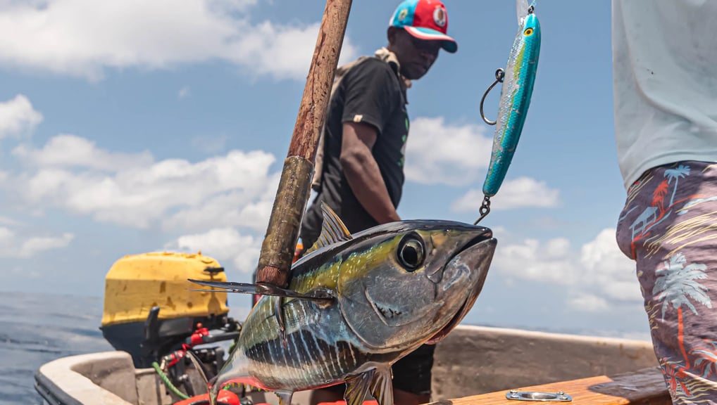 Full day Fishing Charters Zanzibar - Yellowfin tuna rapala