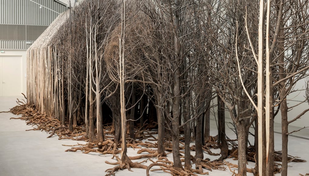 Doris Salcedo, por exemplo, trabalha com a memória e o trauma da violência política, criando instala