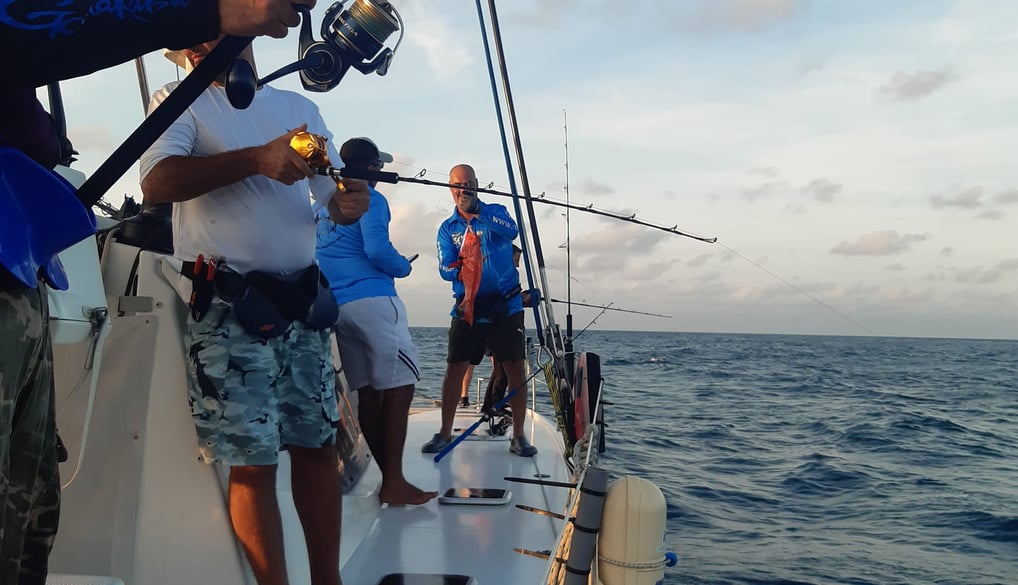 Anglers fishing with figging technique on a catamaran - Catamaran Fishing Charters Seychelles