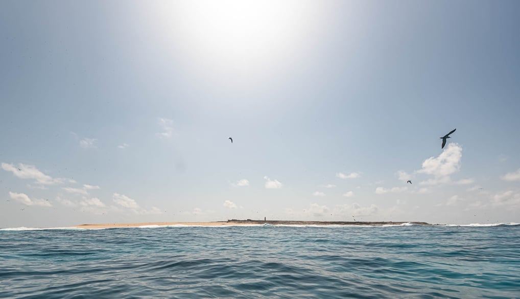 Latham Island Fishing Charters Zanzibar - Stunning aerial view of Latham Island