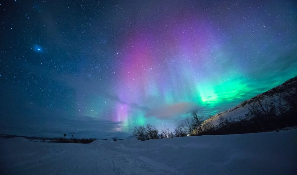 Fairbanks, AK - Aurora Borealis Lights, Glaciers, Denali, and Giants of the Animal Kingdom