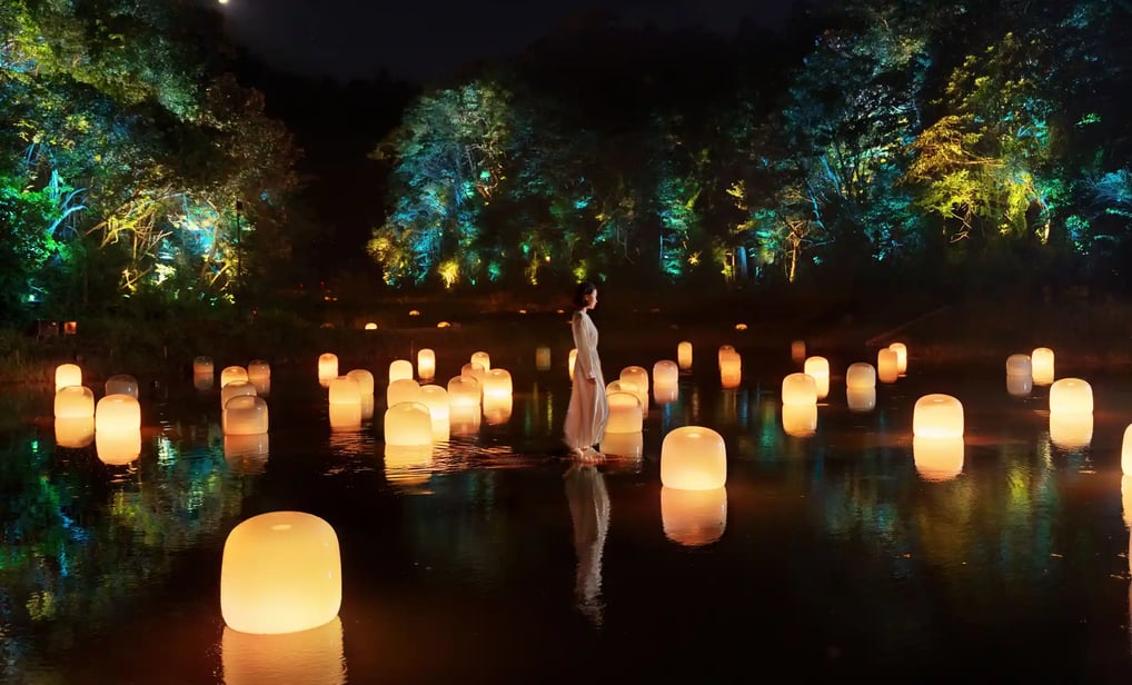 teamLab, 2024, Instalação Digital Interativa