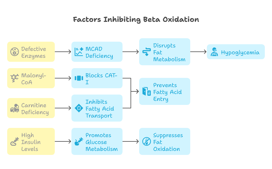 beta oxidation inhibition