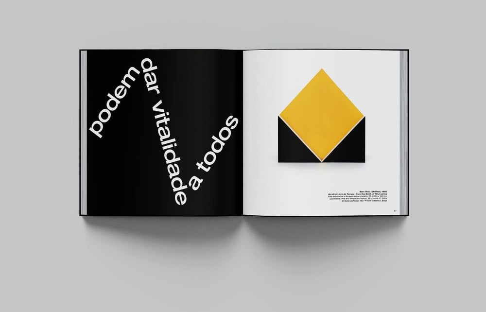 livro “Lygia Pape: ação-dentro”
