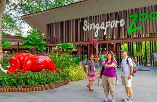 Singapore zoo best tourist attractions in Singapore