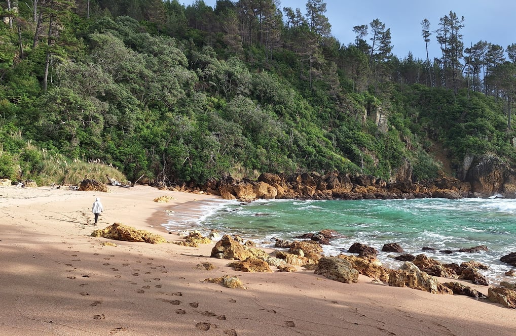 Pokohino Beach